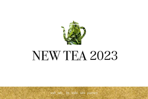 NEW TEA 2023 | Single Origin Japanese Green Tea